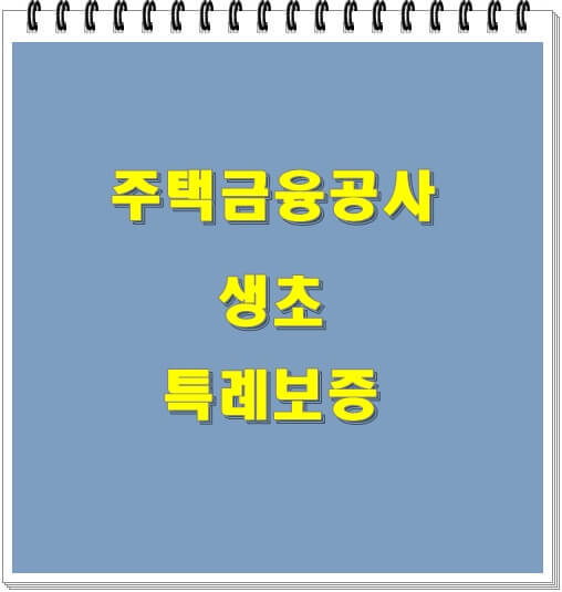 주택공사 생초 특례구입자금 보증부대출 이해하기