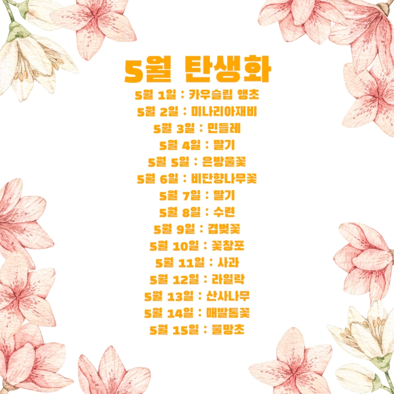 생일 축하 꽃말 5월 탄생화 (5월 1일-31일 날짜별 생일 꽃)