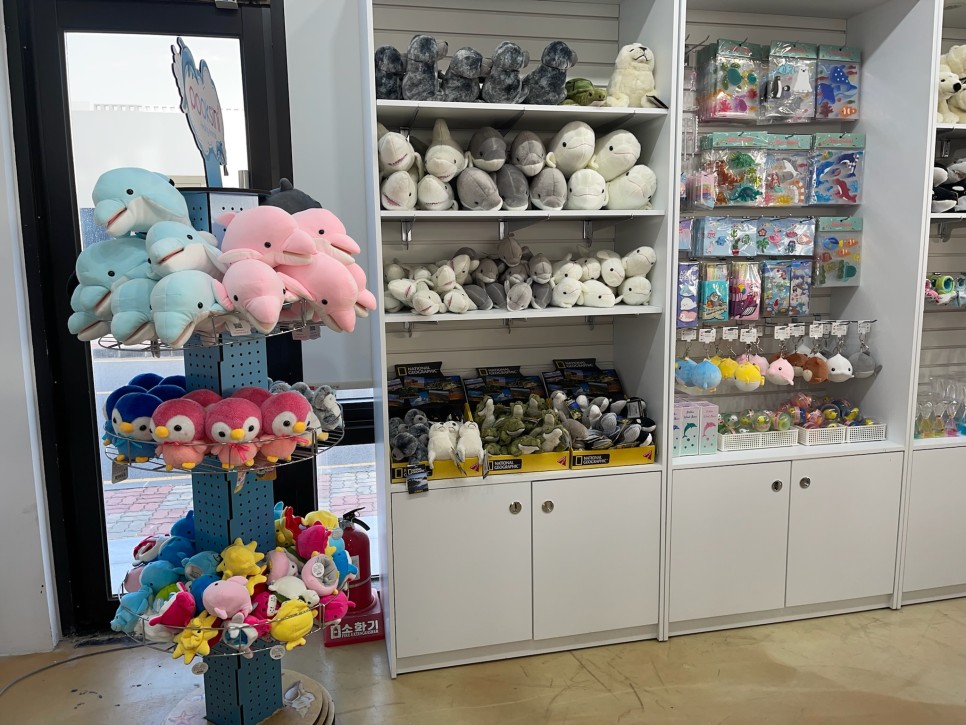 겨울 여행지 겨울 국내 여행지 :제주도 8