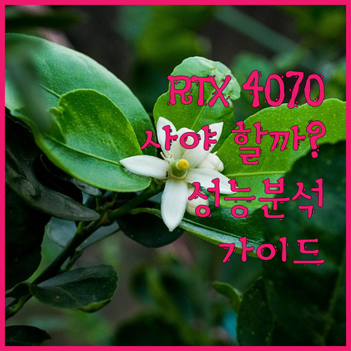 RTX 4070 그래픽 카드 구매 가