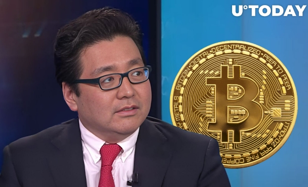 2024년 비트코인 매우 강력할 것: 펀드스트랫 Fundstrat’s Tom Lee Says Bitcoin Likely To Have Very Strong 2024 Amid Two Bullish Tailwinds