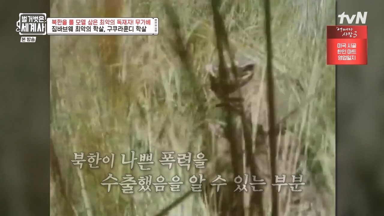 벌거벗은 세계사.E119.231004p-NEXT.mp4_20240511_162749.048.jpg