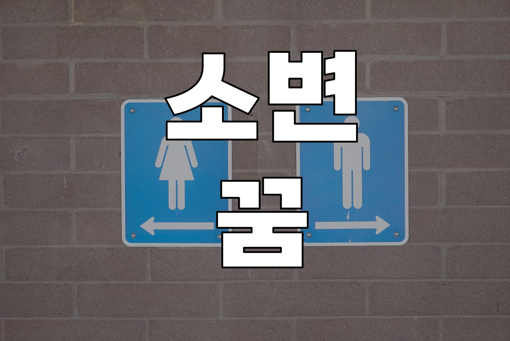  소변/오줌 꿈 해몽 - 50가지
