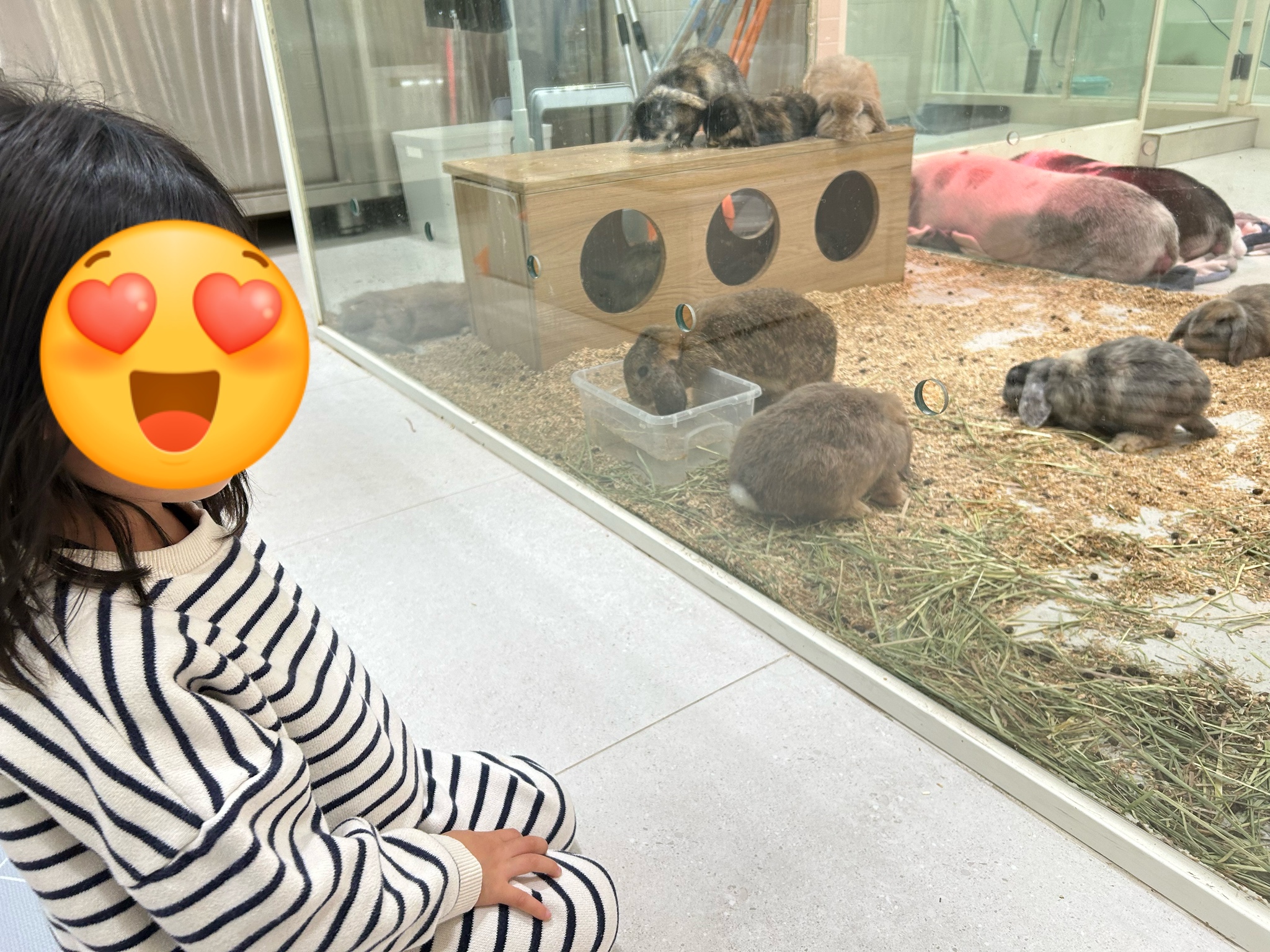 마리앤쥬 이미지