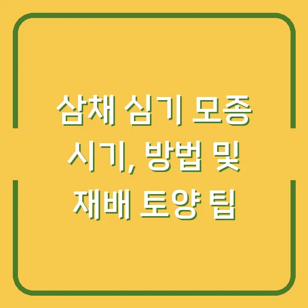 삼채 심기 모종 시기, 방법 및 재배 토양 팁