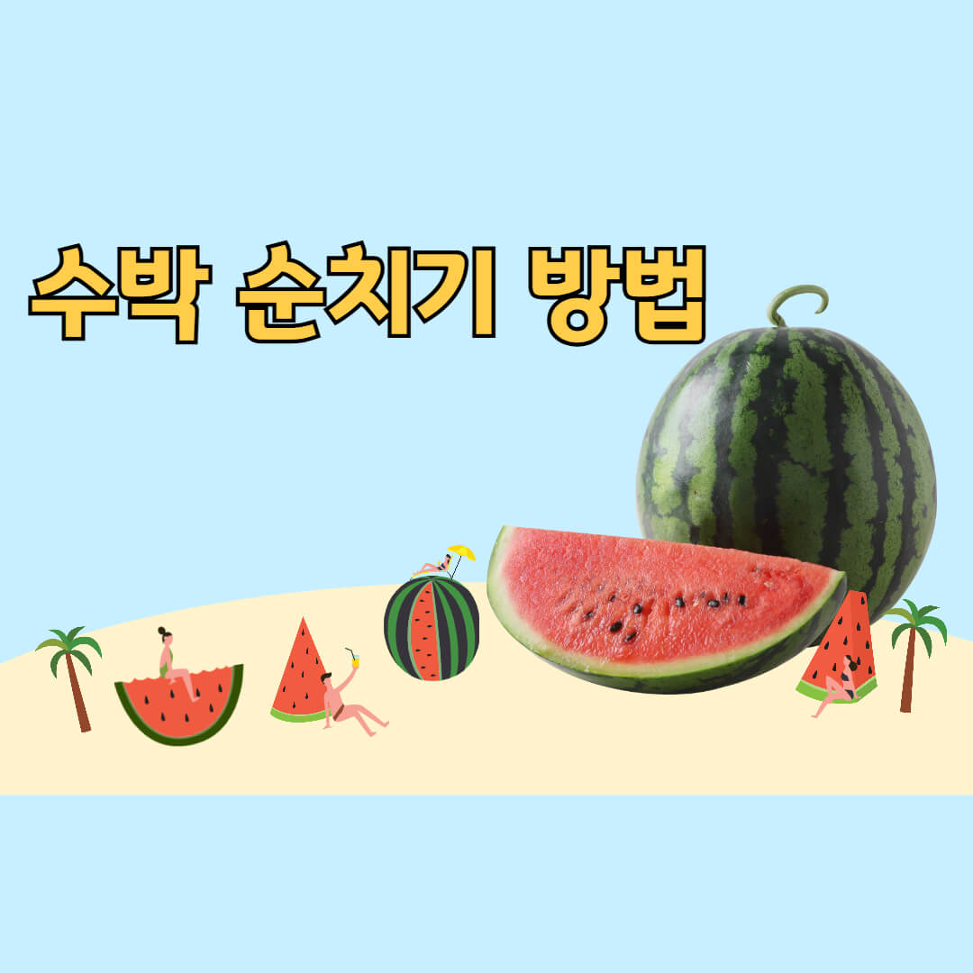 수박 순치기 방법
