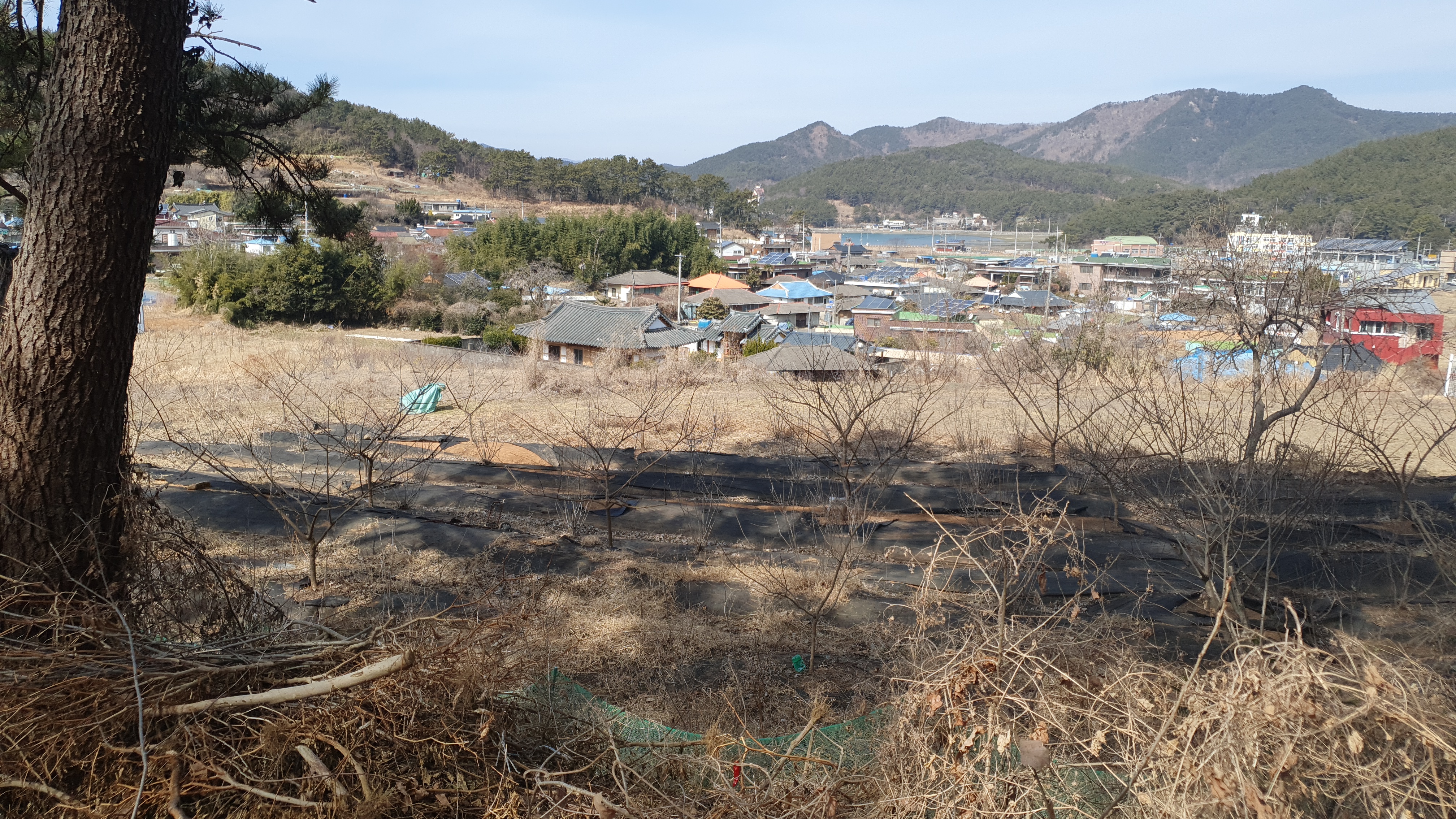  (땅나라 434번 ) 경남 창원 구산면 바닷가 마을 바다뷰가 있는 전원주택지 매매 / 문의 055)253-6609