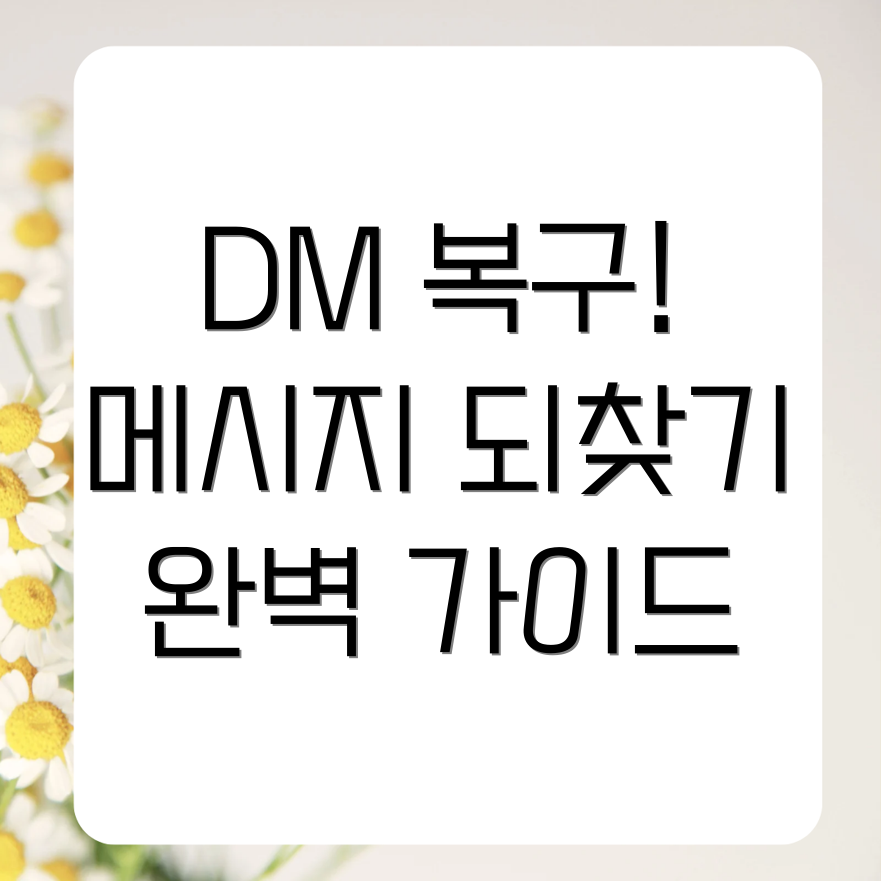 인스타그램 DM 복구