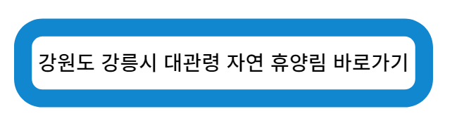 강원도 강릉시 대관령 자연 휴양림 캠핑장 바로가기