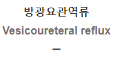 방광요관역류 [Vesicoureteral reflux]