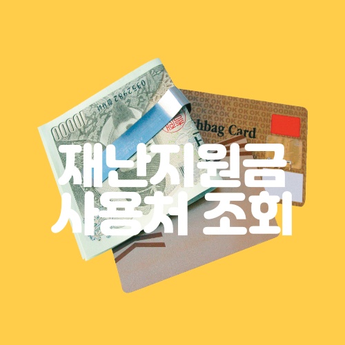  우리동네 5차 재난지원금 국민지원금 사용처 조회 - 계산동 주민, 재난지원금으로 보낸 하루