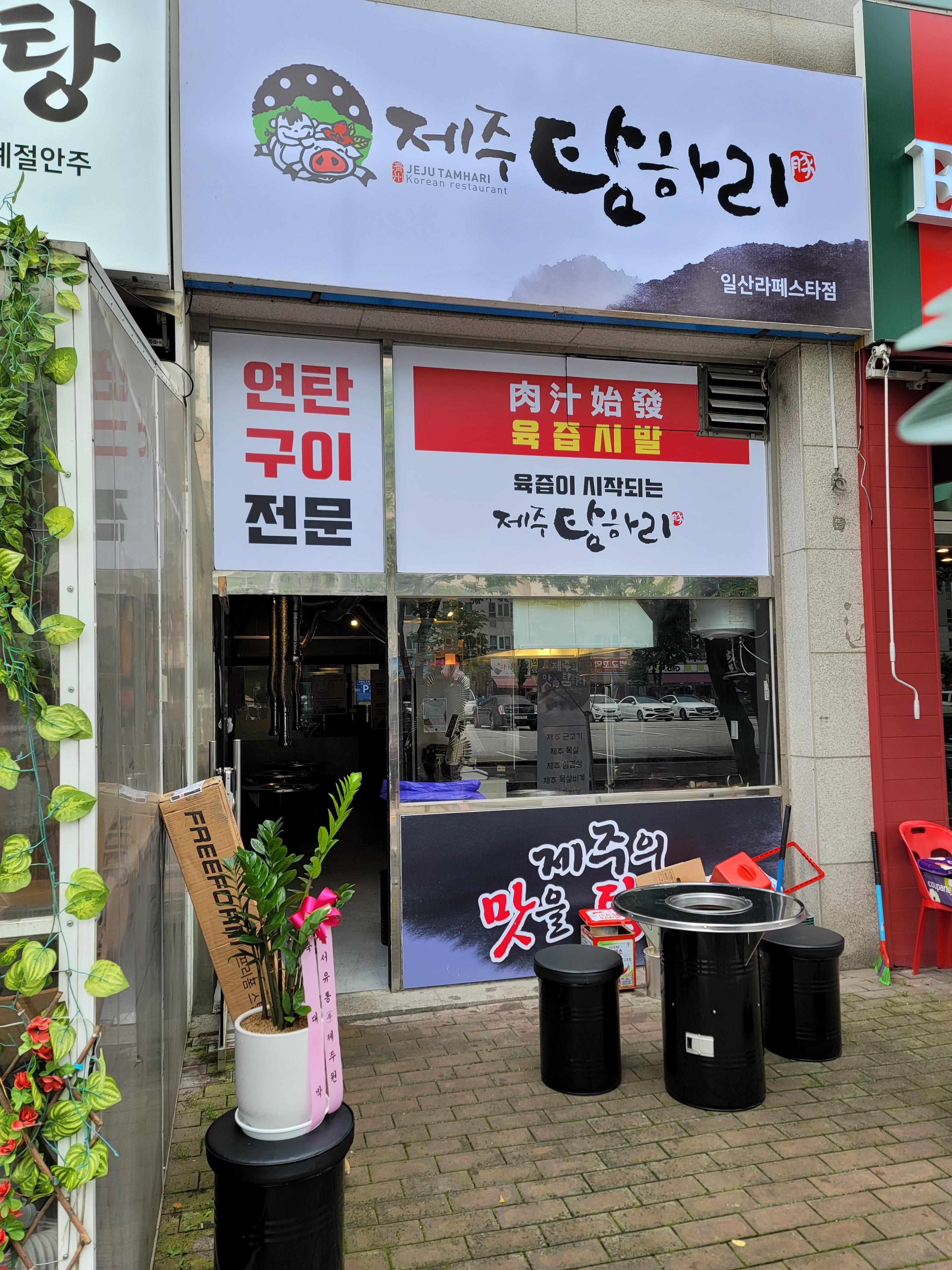 제주탐하리 이미지