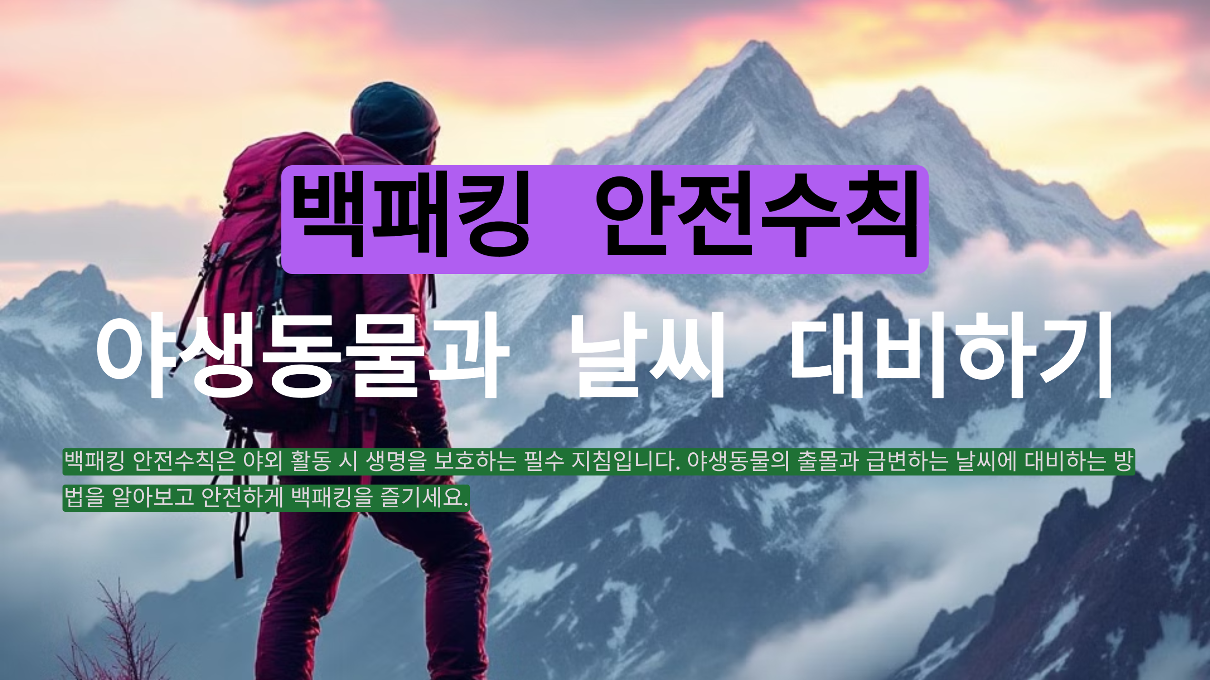 백패킹 안전수칙 야생동물과 날씨 대비 방법