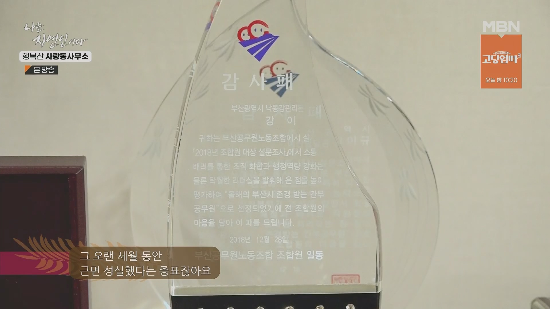 나는 자연인이다.E552.230503p.H264-F1RST.mp4_20230504_200306.677.jpg