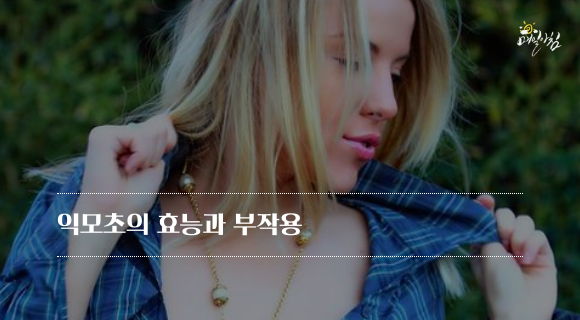  [매일아침좋은글] 익모초의 효능과 부작용