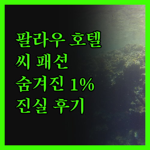 팔라우 호텔 진실 후기 씨 패션 호텔