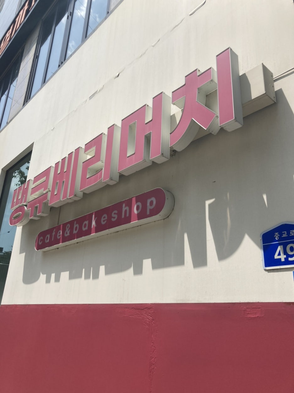 보리베리 이미지