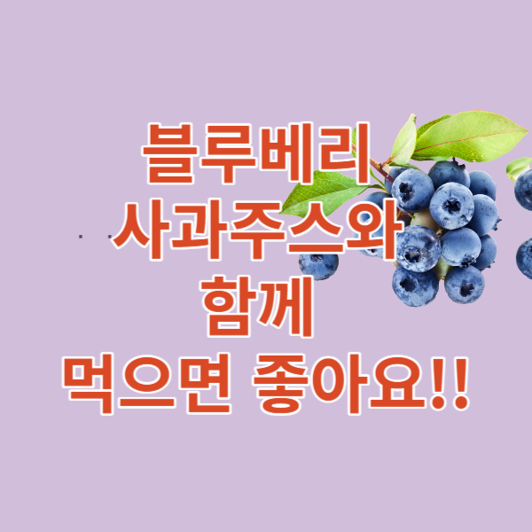  블루베리를 먹어야 하는 이유