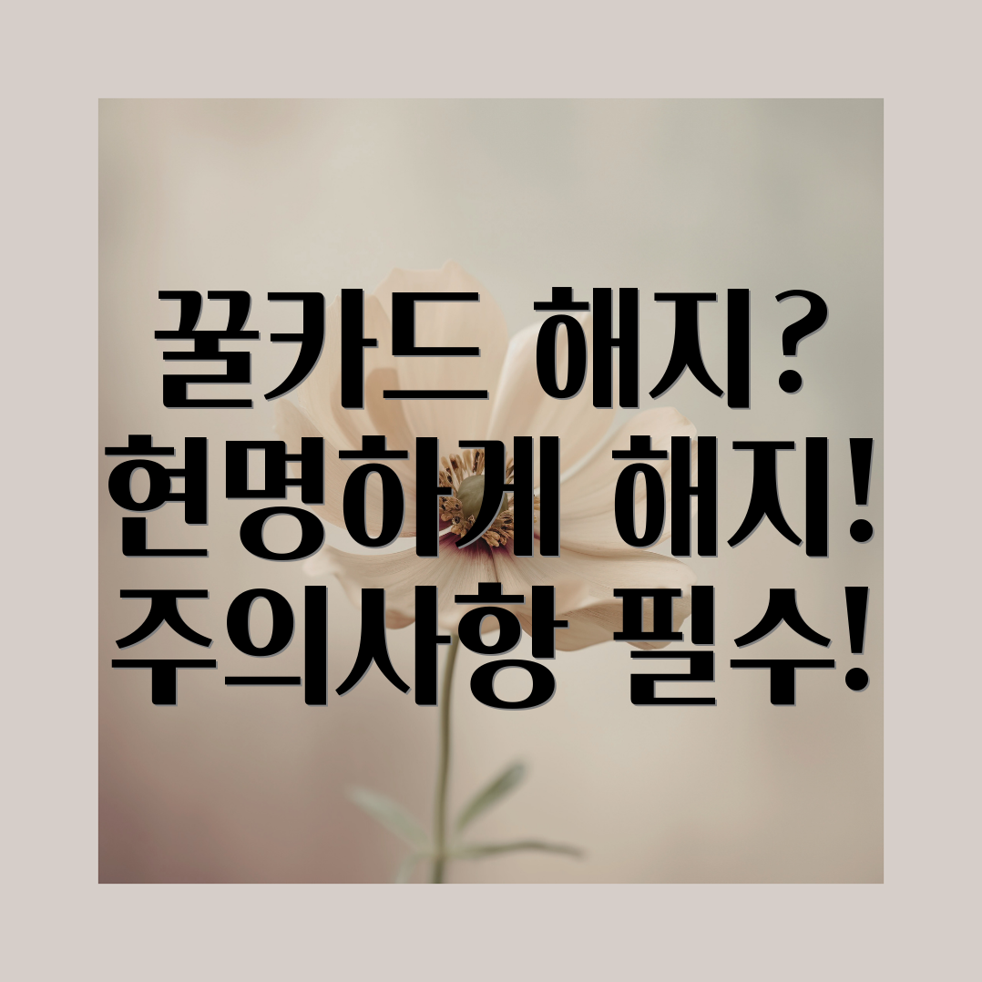 꿀카드 해지