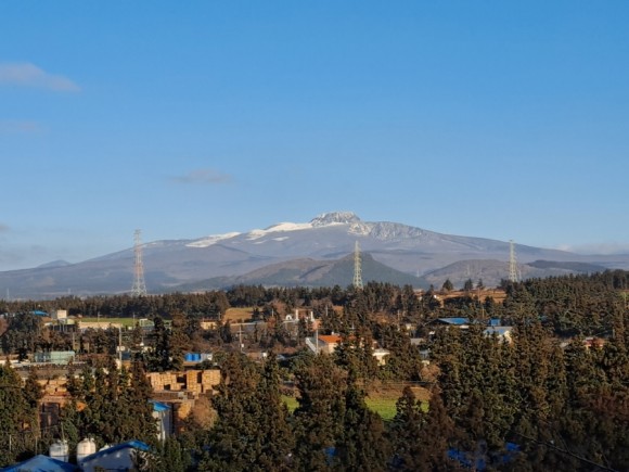 정물 당오름, 오름 그리고 금악오름 3