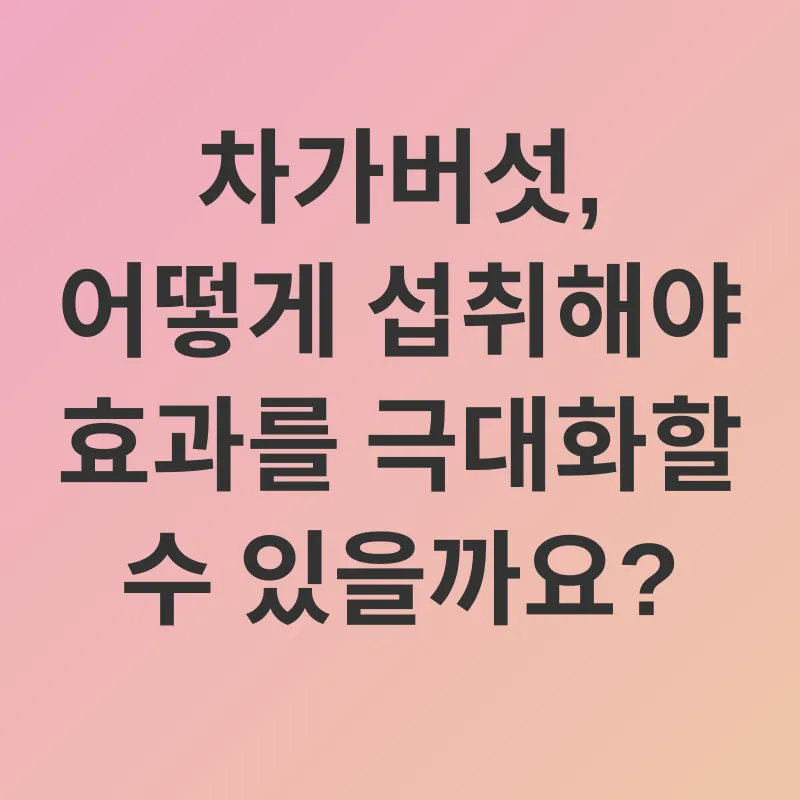 차가버섯 효능_3