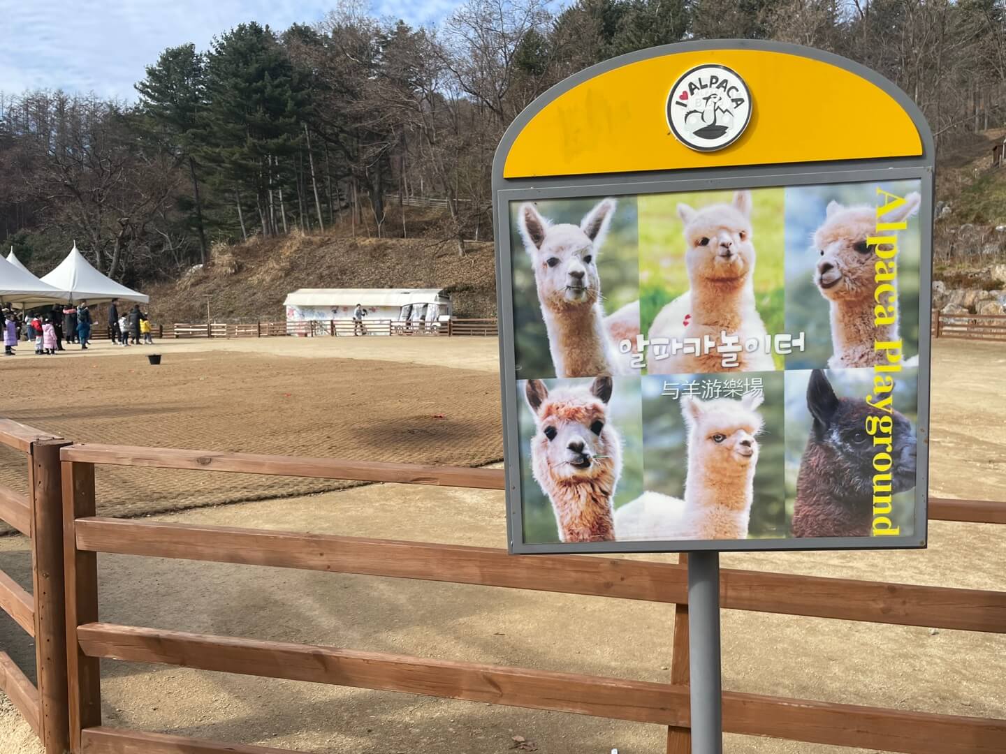 알파카놀이터