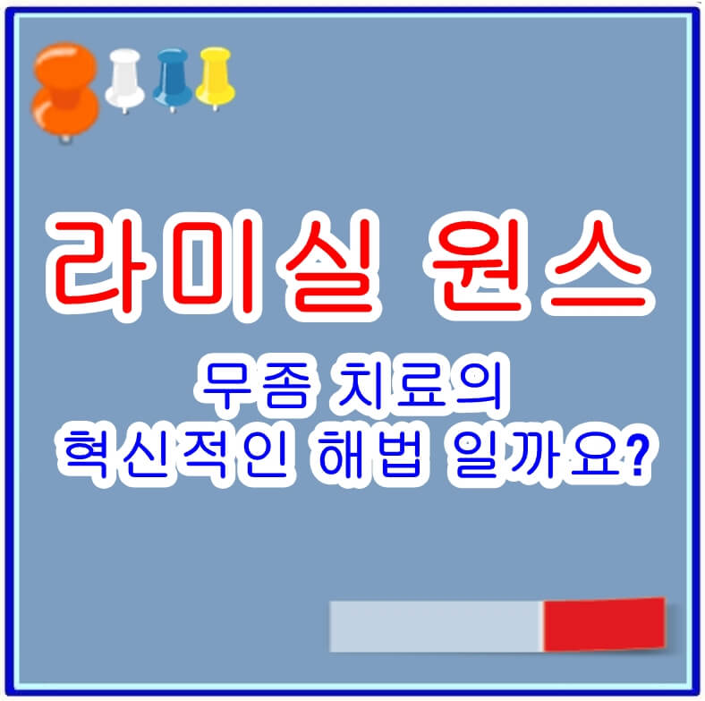 라미실 원스