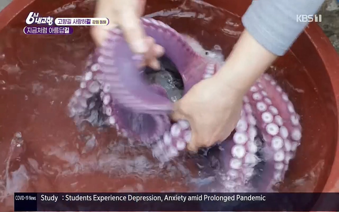 6시 내고향.E7512.220416p.H264-F1RST.mp4_20220502_192222.293.jpg