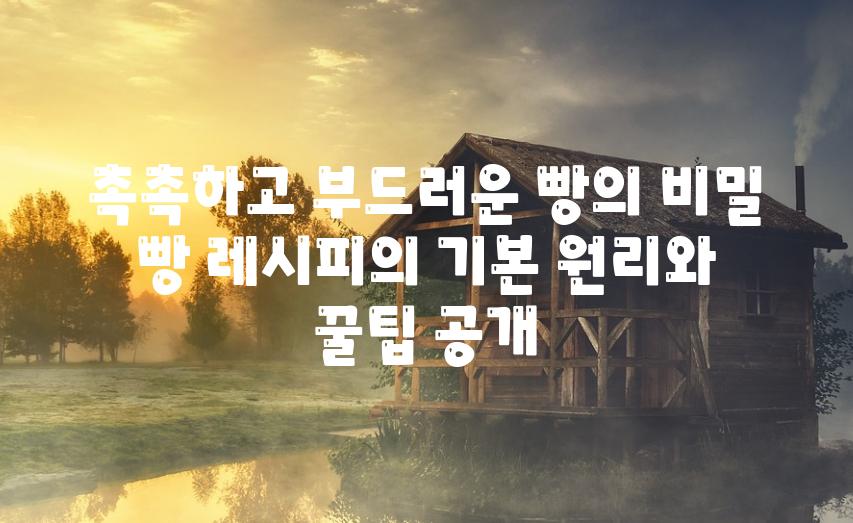 촉촉하고 부드러운 빵의 비밀 빵 레시피의 기본 원리와 꿀팁 공개