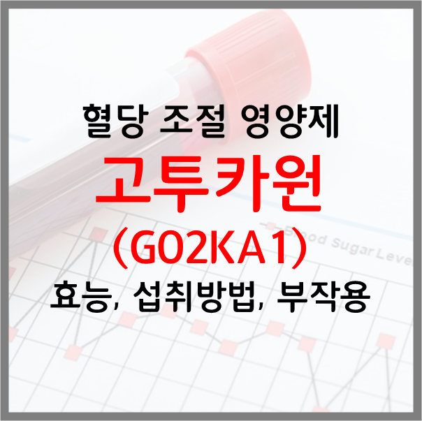  고투카원 키토올리고당 혈당 조절 영양제 효능 섭취방법 부작용