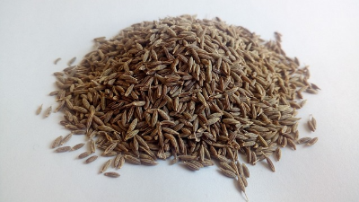  향신료 큐민 (Cumin) / 쯔란 알아보기!