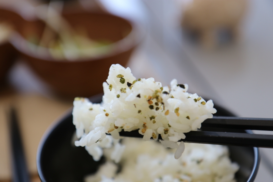 돔 종류이름 극찬했던 일산 17