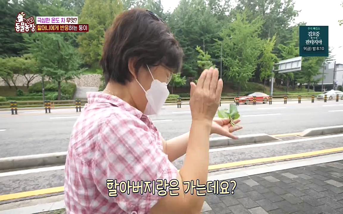 TV 동물농장.E1085.220905p-NEXT.mp4_20220904_173528.367.jpg