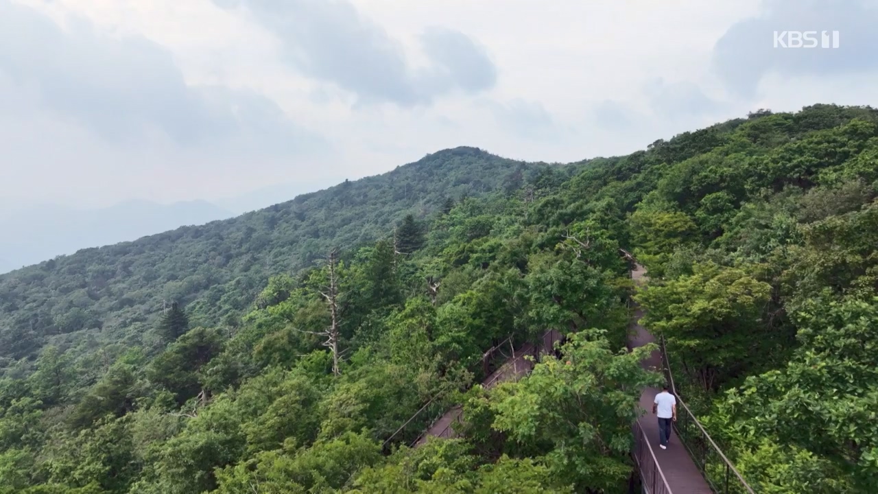 동네 한 바퀴.E234.230806p-NEXT.mp4_20230810_211358.365.jpg