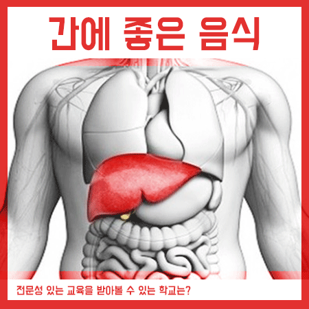  간에 좋은 음식 나쁜 음식 알아보고 먹어요!
