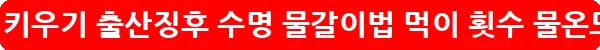 제브라다니오 키우기 출산징후 수명 물갈이법 먹이 횟수 물온도_18