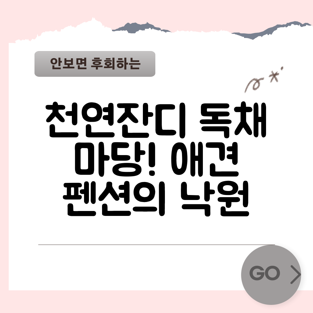 천연잔디 독채 마당! 애견 펜션의 낙원