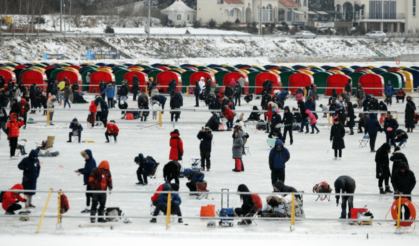 2024&amp;#39; 강원도 축제 &amp; 주변 맛집 / 겨울 방학 가볼만 한 곳