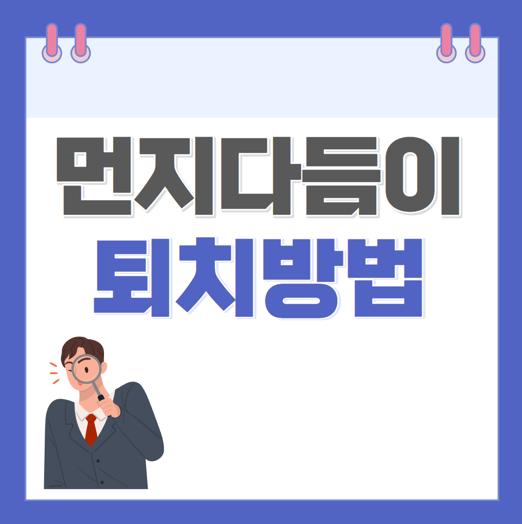 먼지다듬이 썸네일