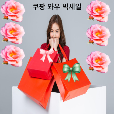 쿠팡 와우 빅세일