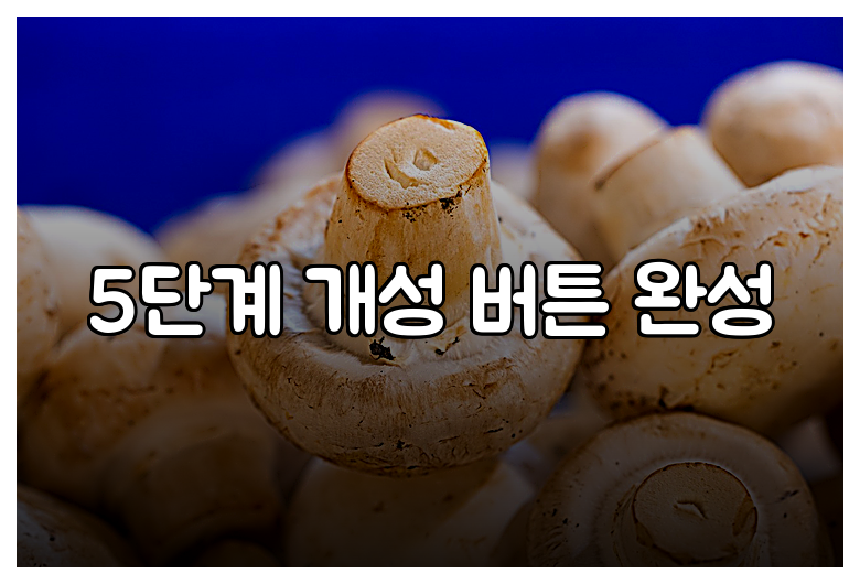 5단계 개성 버튼 완성