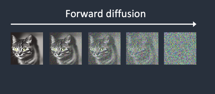 Forward Diffusion