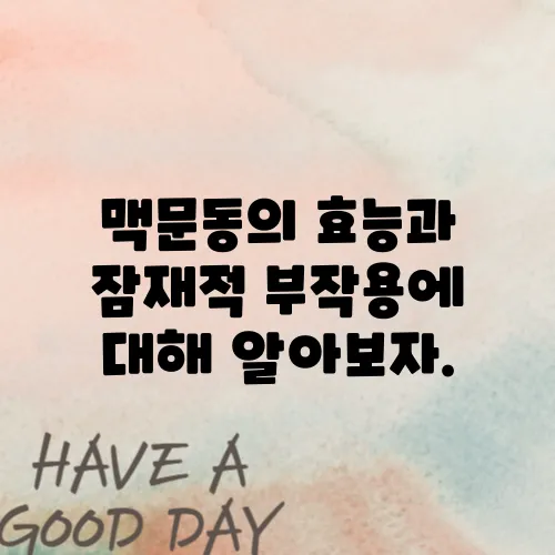 맥문동의 효능과 잠재적 부작용에 대해 알아보자.