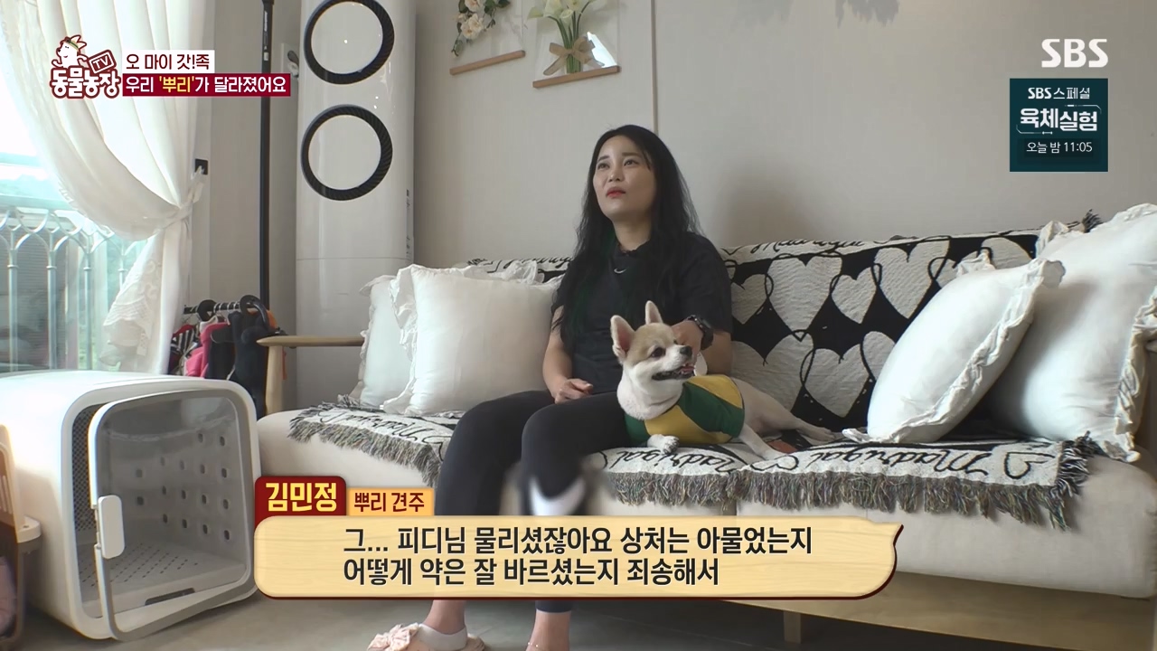 TV 동물농장.E1140.231009p-NEXT.mp4_20231008_174815.820.jpg