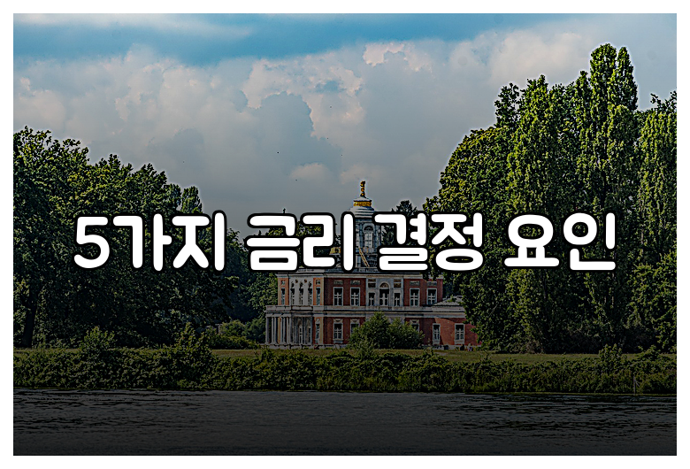 5가지 금리 결정 요인