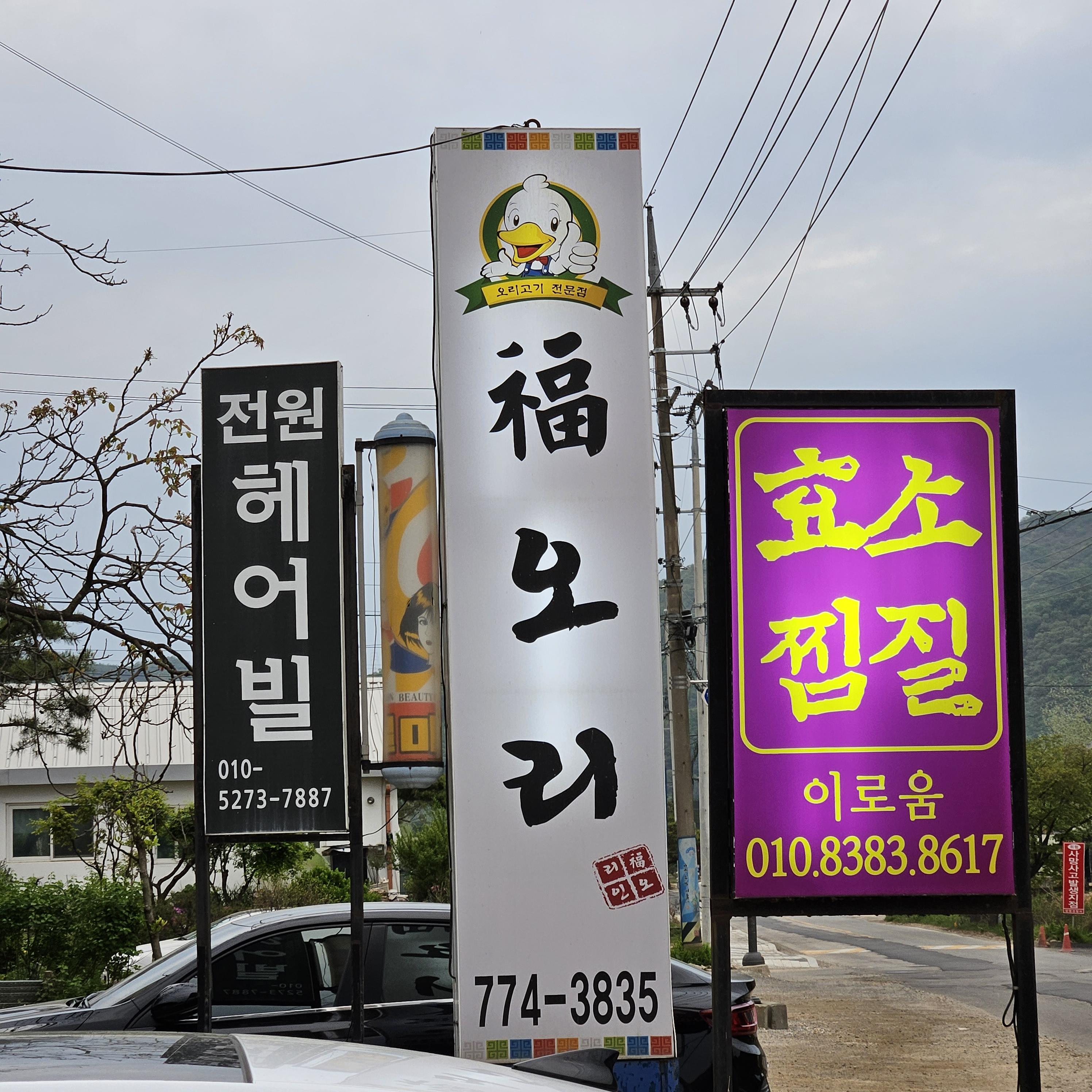  경기도 양평 오리고기 맛집,  두물머리 근처 저녁식사 - 복오리