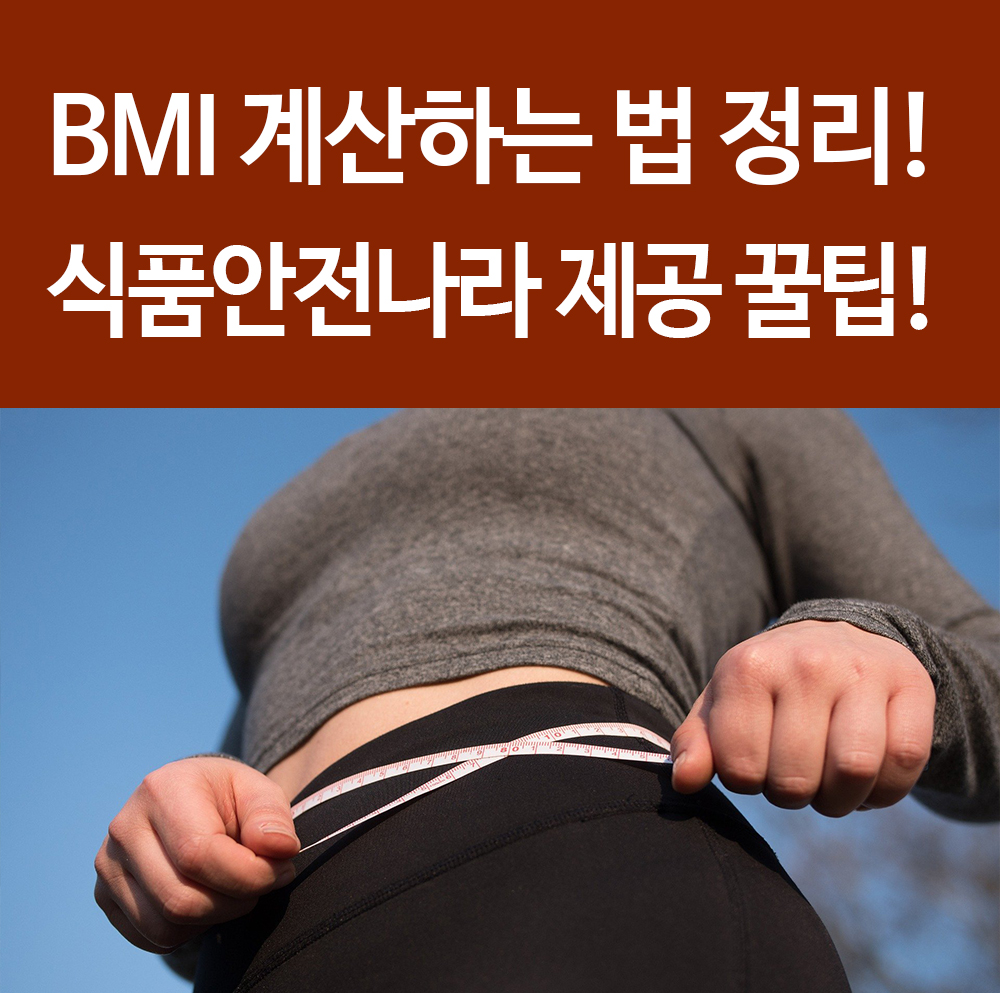  BMI 계산하기 남녀 복부, 고도비만 어린이 까지 정밀 검사 사이트 정리! 꿀팁!