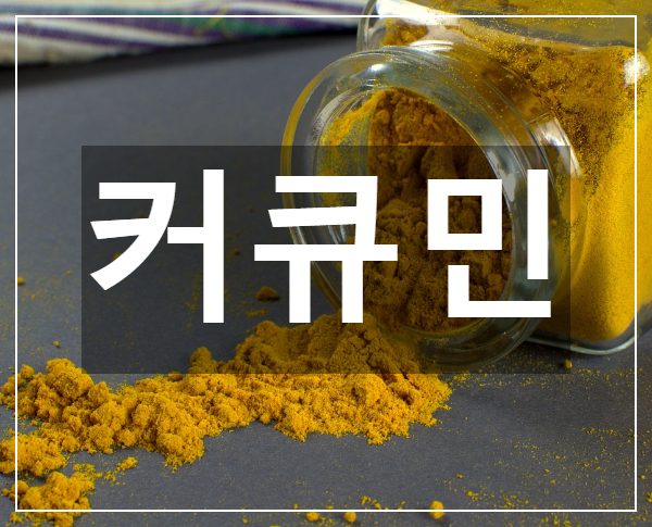  알고 먹자 커큐민 강황 vs 울금