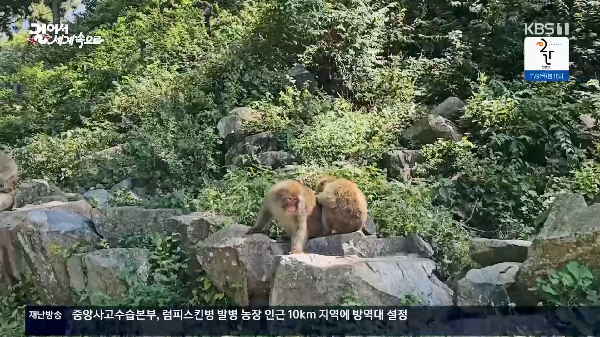 걸어서 세계속으로.E814.231028p.H264-F1RST.mp4_20231029_173153.663.jpg