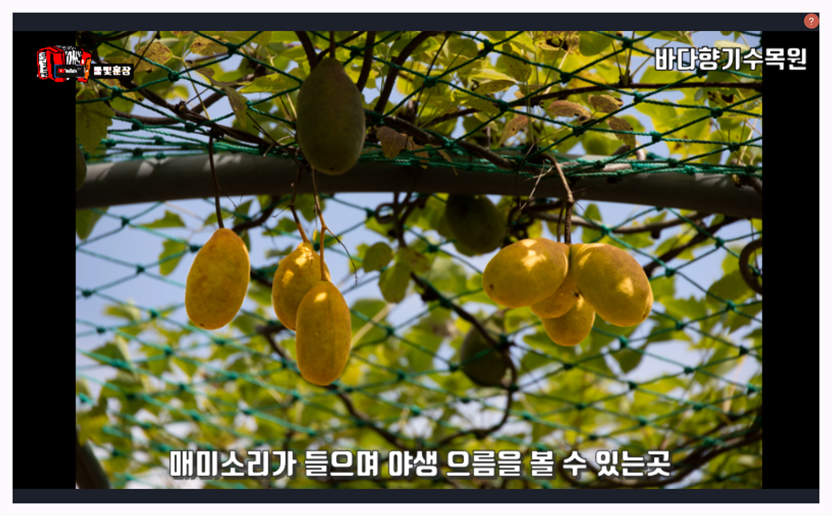 바다향기 이미지